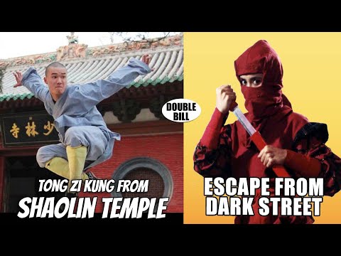 Wu Tang Collection - Tong Zi Kung Of The Shaolin Temple | Escape From Dark Street