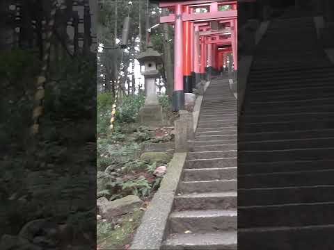 京都・伏見稲荷大社を歩く[24](2012年・手振れ注意) #shorts #kyoto #Japan