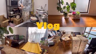 賃貸から賃貸に引っ越す主婦のvlog💃/思うようにいかない年末🦧/IKEA🎄