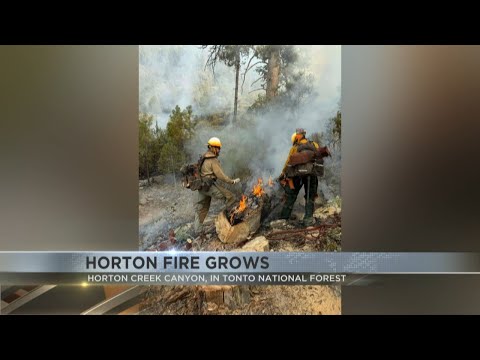 Horton Fire in Tonto National Forest grows to nearly 900 acres