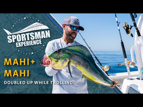 The Sportsman Experience Shorts - DOUBLED UP - Multiple Mahi Mahi While Trolling