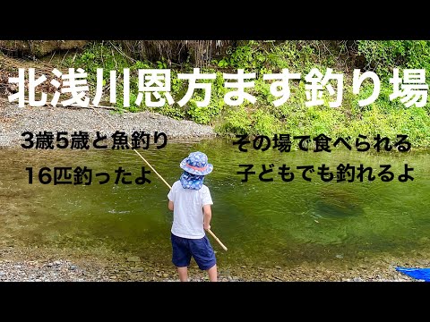 【アウトドア】子連れ川釣り・北浅川恩方ます釣場【日帰りキャンプ】