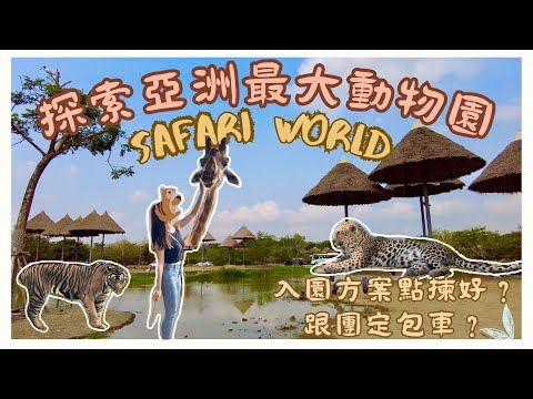 【泰國曼谷🇹🇭EP06】🦒🐘🦧曼谷必去動物園 Safari World Bangkok｜入園方案詳細比較📝📝跟團🆚包車｜ 💡遊動物園小貼士｜瞬間穿越大草原🦓🐅餵長頸鹿🦒