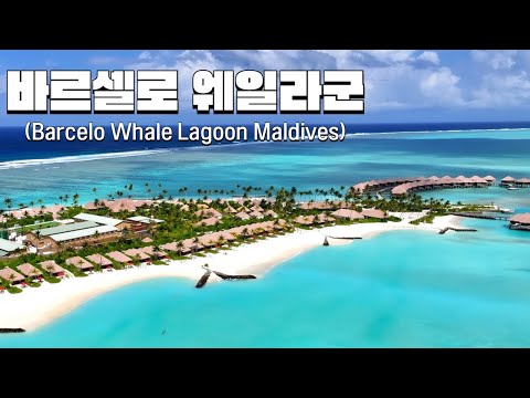 Barcelo Whale Lagoon Maldives Resort chosen by Maldives travel experts!!