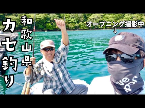 和歌山県で適当にカセ釣りをするとこうなります