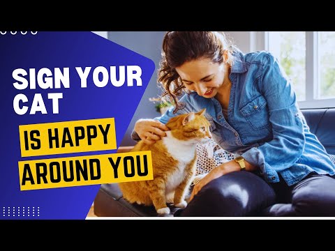 10 Signs Your Cat Feels Safe Around You