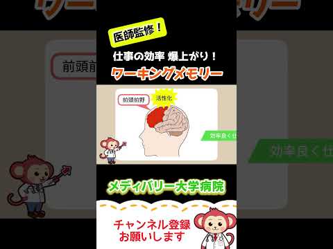 仕事や勉強の効率を爆上げする方法！ワーキングメモリー【Short】