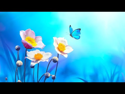 Beautiful Piano Music : Study music, Focus, Meditation, Relaxing music