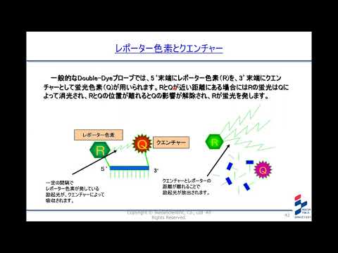 第4回 　遺伝子関連検査の基礎知識(3/3）　（PCR技術の変遷）