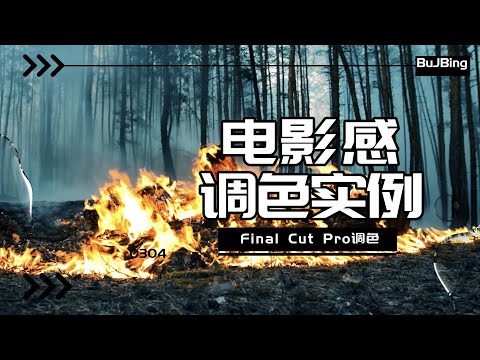 Final Cut Pro调色之树林的电影感色调