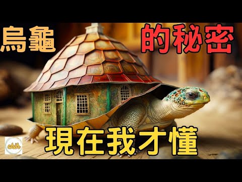 烏龜原來能分辨顏色，還能在黑暗中看見生物？