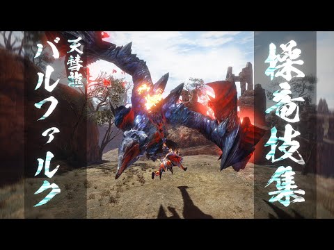 【MHRise】操竜技集(バルファルク)