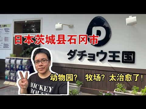 来日本茨城县推荐的好地方！石冈市ダチョウ王国！