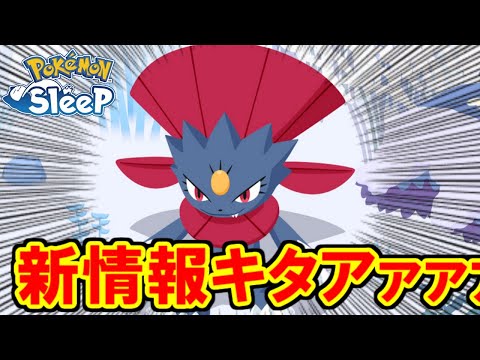 マニューラが来週にはもう来るらしい。【ポケモンスリープ】