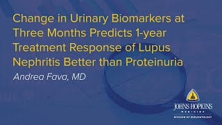 Urinary Biomarkers Predicts Treatment in Lupus Nephritis | Johns Hopkins Rheumatology