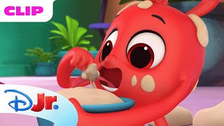 Morphle and the Magic Pets "The Cake Mistake" Episode Clip | @disneyjr x @Morphle