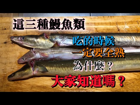 【三種鰻魚類】在日本從夏天才開始季節　但不能生食因為很危險一定要全熟　這個意思大家知道嗎？