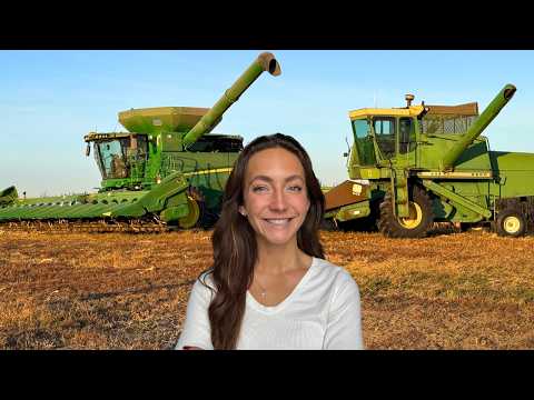 Old Cheap Combine VS New Expensive Combine