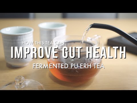 Drink Japanese Fermented Tea (Pu-erh Tea) For a Healthier Gut