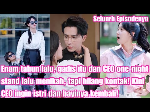 Enam tahun lalu, gadis itu dan CEO one-night stand lalu menikah, tapi hilang kontak!