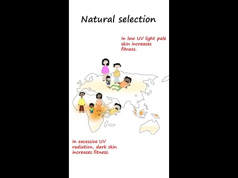 What is natural selection? #shorts