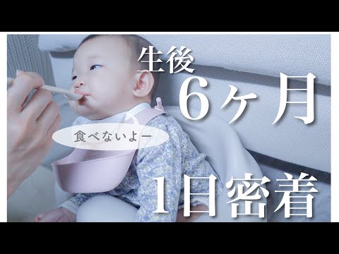 【24時間密着】生後6ヶ月赤ちゃんの1日｜離乳食やっぱり…｜混合育児｜3人目