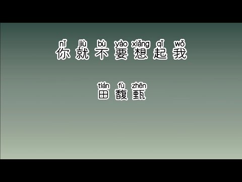 《你就不要想起我》 田馥甄 【高音质歌词版】 中文拼音