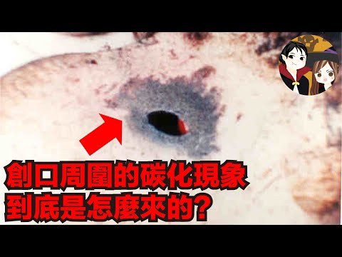 淺灘男性超自然往生事件 是自然界的傑作？還是外星生物的傑作？