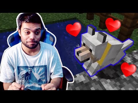 I Found A Dog In Minecraft - Part 4