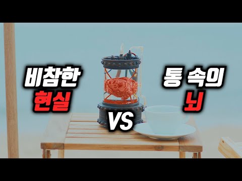 뇌사 상태의 현실 몸 VS 영원히 행복한 꿈 속에 머무는 삶 중에서 하나를 선택해야 한다면?