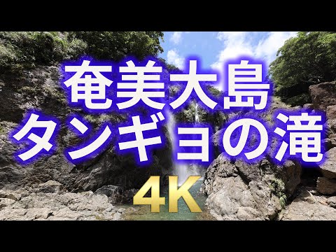 奄美大島 タンギョの滝【Amami Oshima Tangyo Waterfall】