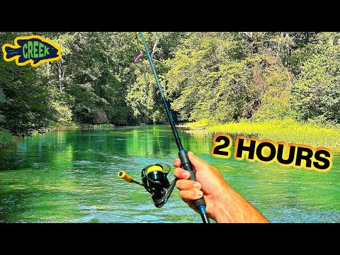 Hot Summer Creek Wading Fishing 2 Hours