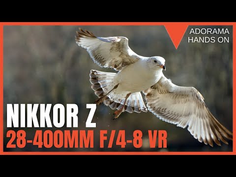 Nikon NIKKOR Z 28-400mm f/4-8 VR Lens | A Walk Around Zoom For Any Creator