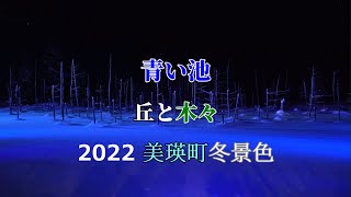 青い池・丘と木々　北海道美瑛町　冬景色　#BluePond #AOIIKE #Hills #Trees #BIEI #HOKKAIDO #Winter #美瑛 #青い池 #丘 #ライトアップ #4K