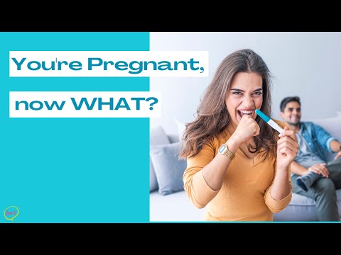 Pregnancy Animation Video | First Things to do When You Find Out Your'e Pregnant | New Mom Pregnancy