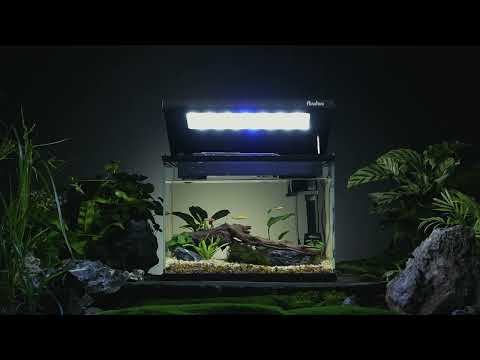 Digital Control Fish Tank