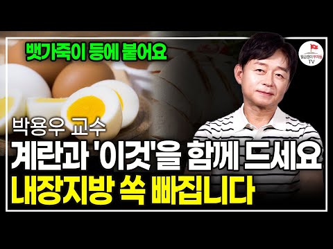 "계란이랑 이걸 같이 드세요" 아침에 먹으면 뱃살이 쏙 빠질 겁니다. (국내 최초 비만 클리닉 치료. 박용우 교수)