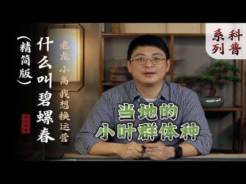 什么叫碧螺春？五个选购建议