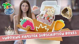 The CUTEST Hamster Subscription Boxes! 📦