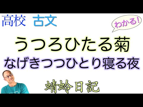 うつろひたる菊・なげきつつひとり寝る夜【蜻蛉日記】教科書の解説〈古典探究〉