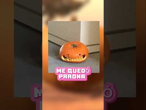 #twitchclips #vtuberespañol #fyp #humor #random #vtuberlatina #halloween #halloweenvtuber