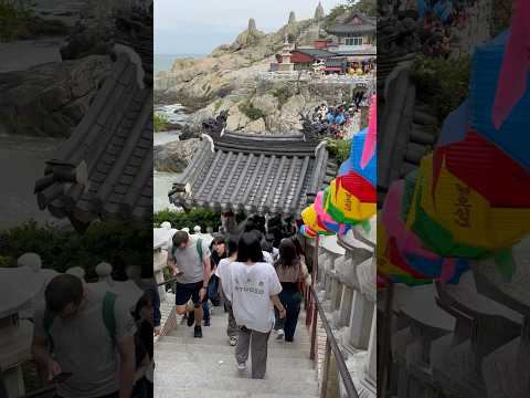 Haedong Yonggungsa: “The Most Beautiful Temple in Korea”, due to its scenic proximity to East Sea!