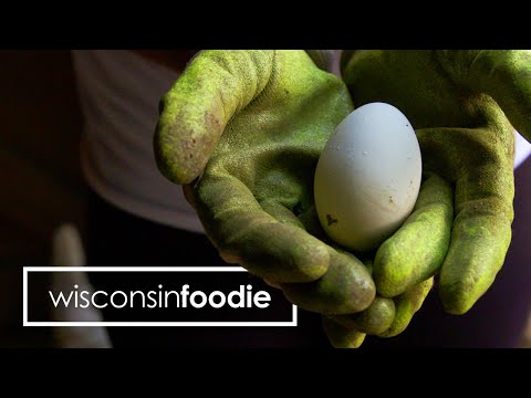 Wisconsin Foodie Live!