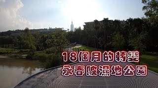 台北四獸山永春陂濕地公園 18個月的轉變 今日變得更不同