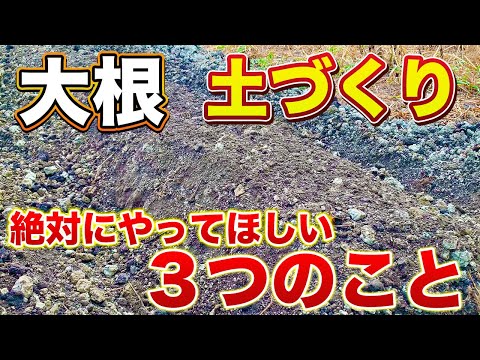 【大根栽培】コレだけはやってほしい３つのポイント！土づくりで綺麗な大根になるか決まります！