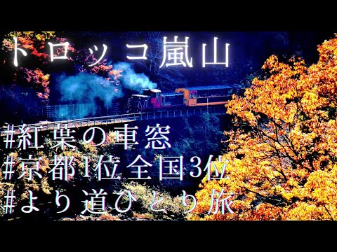 【紅葉ひとり旅】嵯峨野トロッコ列車！亀岡駅から嵐山駅へ嵯峨野観光鉄道～京都観光おすすめ