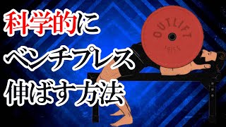 【胸トレ】ベンチプレスの科学的筋トレメニュー