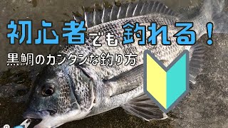 ムズかしい仕掛けは一切ナシ！簡単に黒鯛が釣れる釣り方！【チヌ釣り】【投げ釣り】