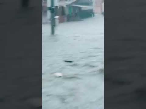 Heavy rain flood Jaipur Monsoon rajasthan #heavyrain #flood #youtubeshorts #trending #viralvideo