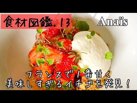 【食材図鑑】13.フランスで１番美味しいイチゴ！アナイス！Anaïs #shorts